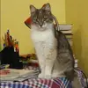 Отзыв от Нинель Муравьева
